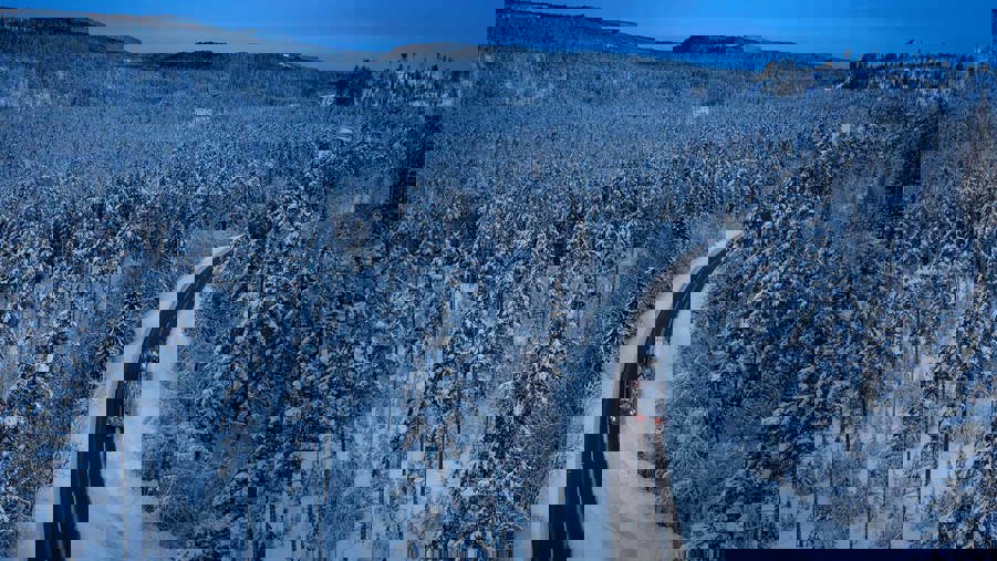 timmerlastbil i vinterlandskap