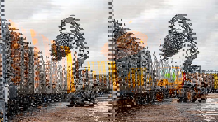 lastning av timmer på tåg i kjula logistikpark