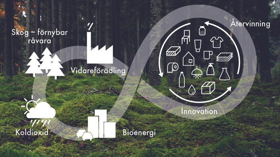 illustration över hur skogsråvaran rör sig i ett cirkulärt system