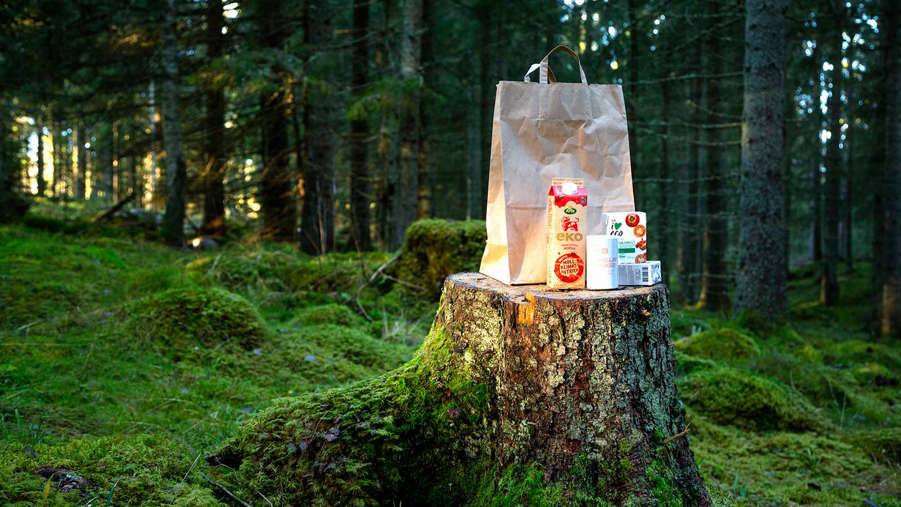 brun papperskasse med mat på en stubbe i skogen