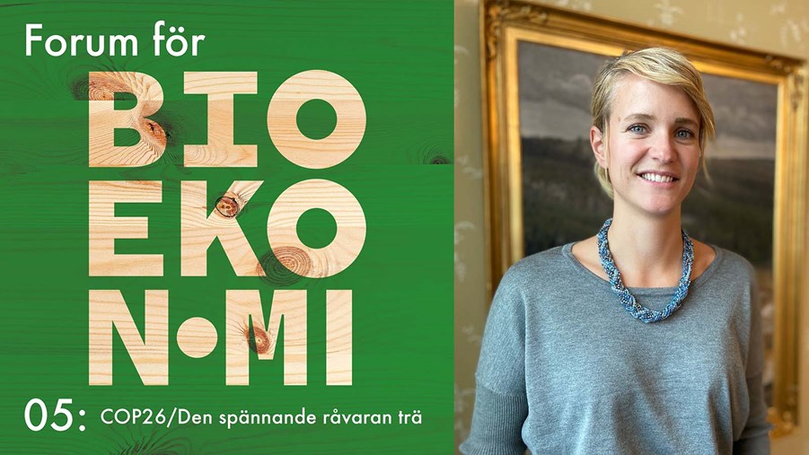 Kari Andersson: COP26/Den spännande råvaran trä