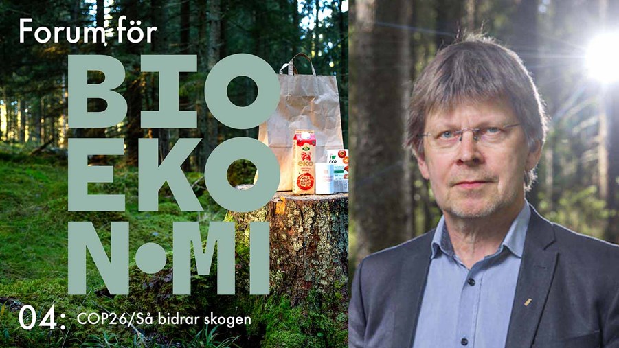 Tomas Lundmark: COP26/Så bidrar skogen